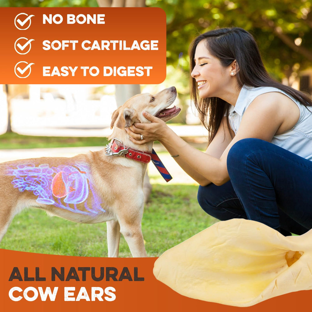 BRUTUS & BARNABY no-mess cow ears — clean chew that won’t stain furniture.