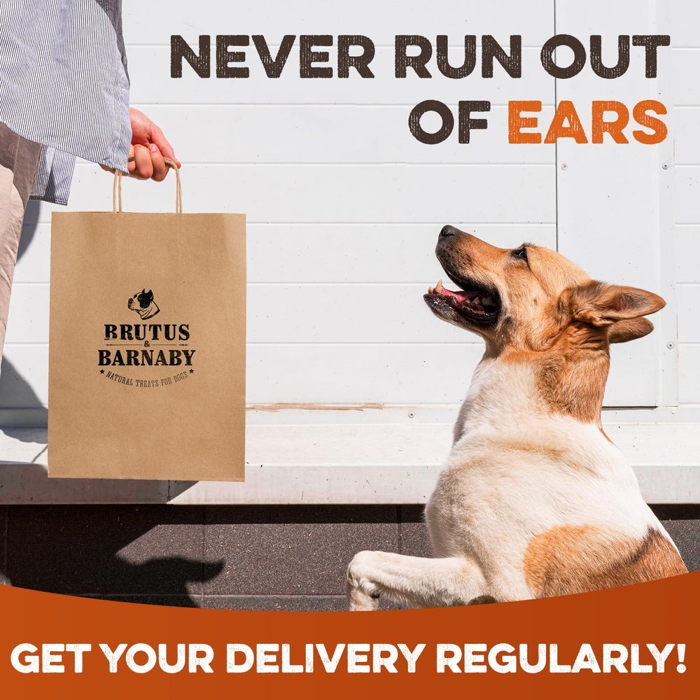 BRUTUS & BARNABY trusted for 10+ years — a reliable option for chewy dog rewards.