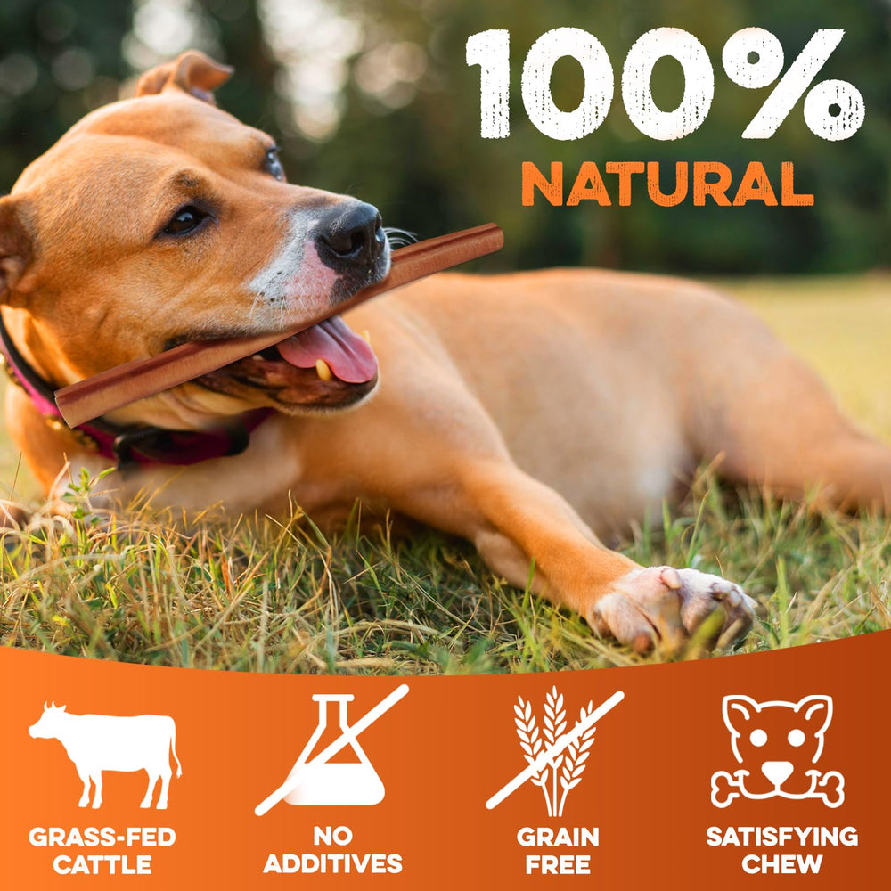 BRUTUS & BARNABY 12-inch chew, highly digestible and convenient for daily routines