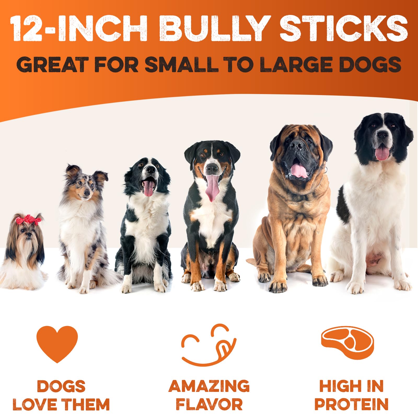 BRUTUS & BARNABY grass-fed beef bully sticks, natural flavor for calm, focused chew sessions