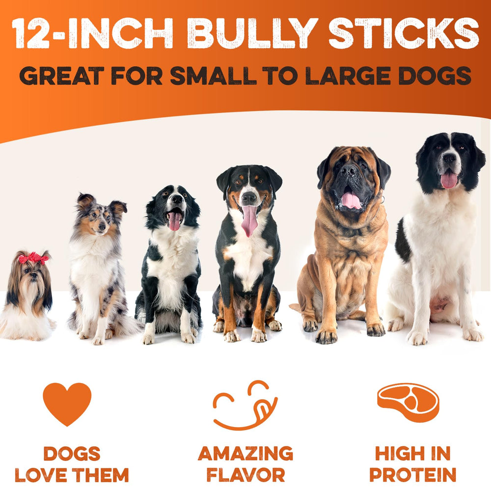 BRUTUS & BARNABY grass-fed beef bully sticks, natural flavor for calm, focused chew sessions