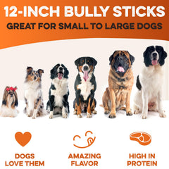BRUTUS & BARNABY grass-fed beef bully sticks, natural flavor for calm, focused chew sessions