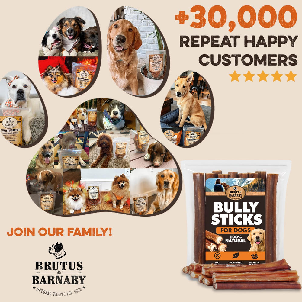 BRUTUS & BARNABY odor-reducing cleaning method, naturally gentler chew experience