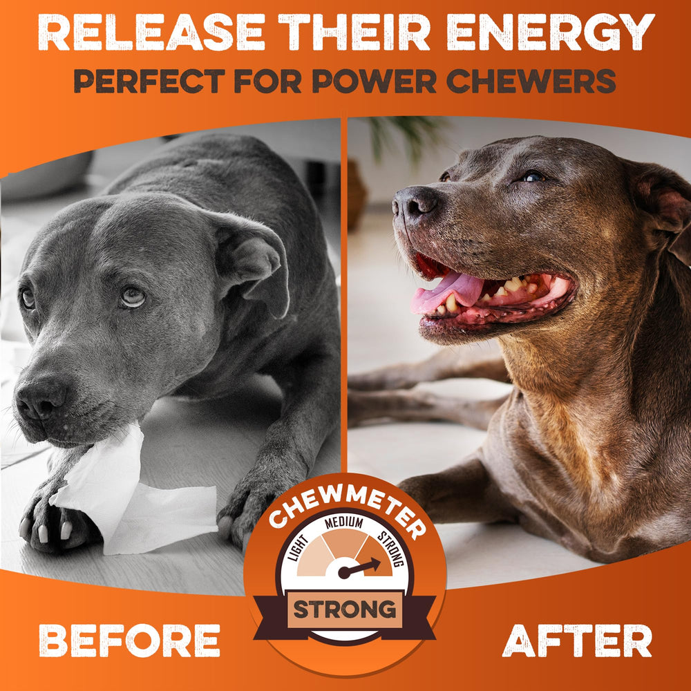 Brutus & Barnaby 5-pack display for convenient chew sessions and value.