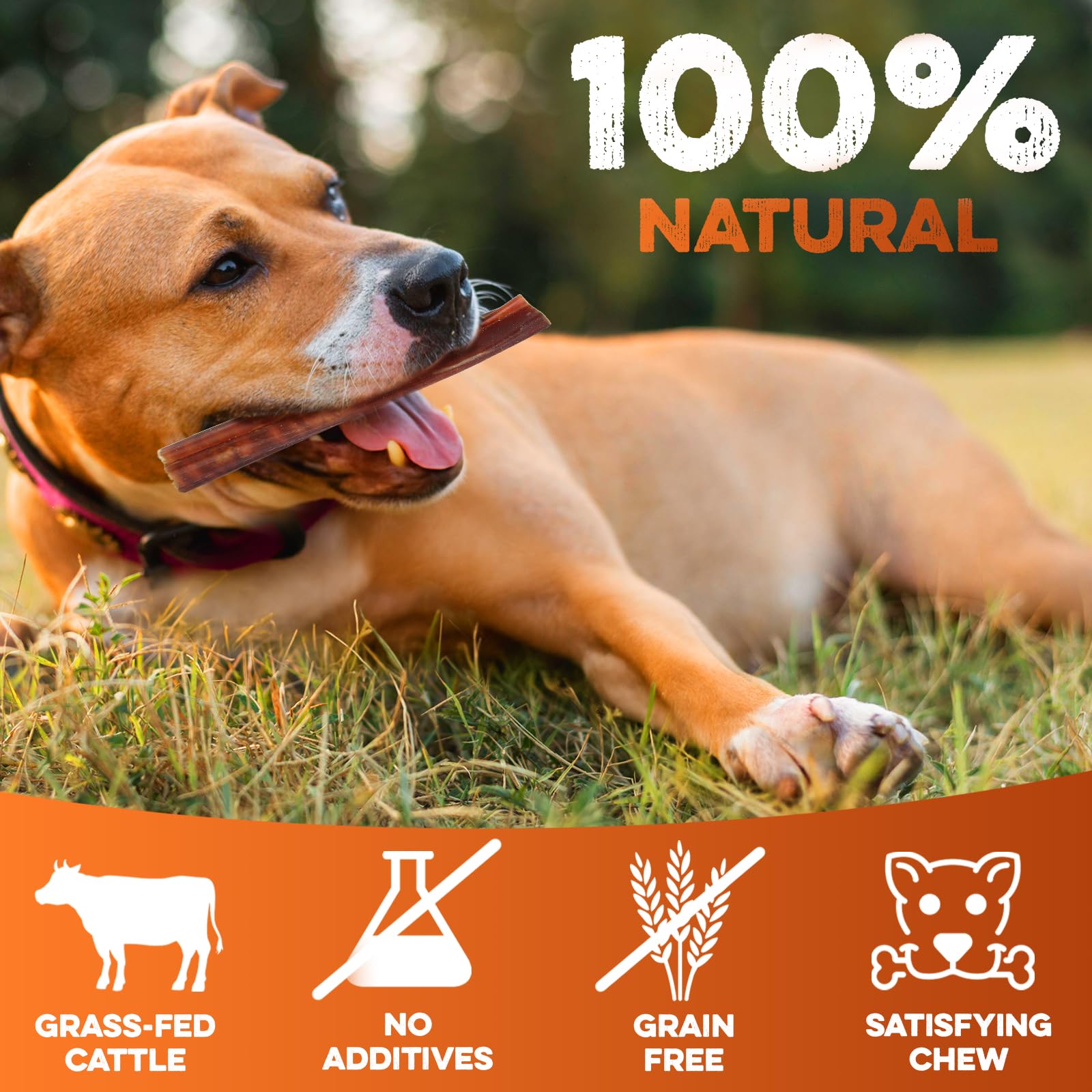 BRUTUS & BARNABY certified facility production ensures quality