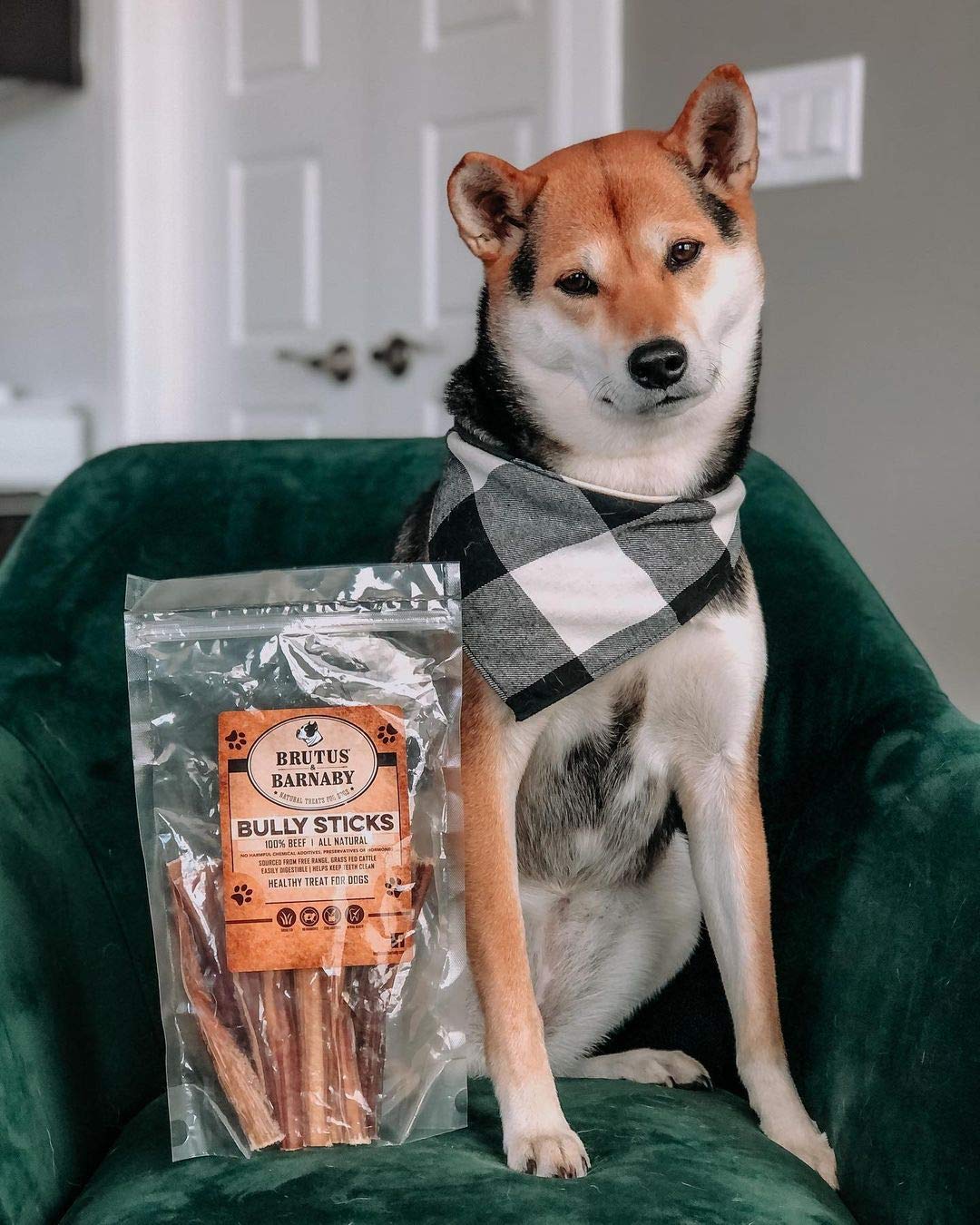 BRUTUS & BARNABY 6-inch sticks ideal for power chewers
