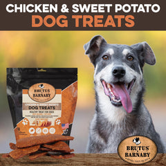 BRUTUS & BARNABY chicken-sweet-potato jerky closeup shows wholesome ingredients for dogs.