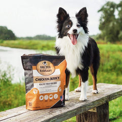 Brutus & Barnaby dehydrated chicken tenders: grain-free, low-fat option for sensitive stomachs