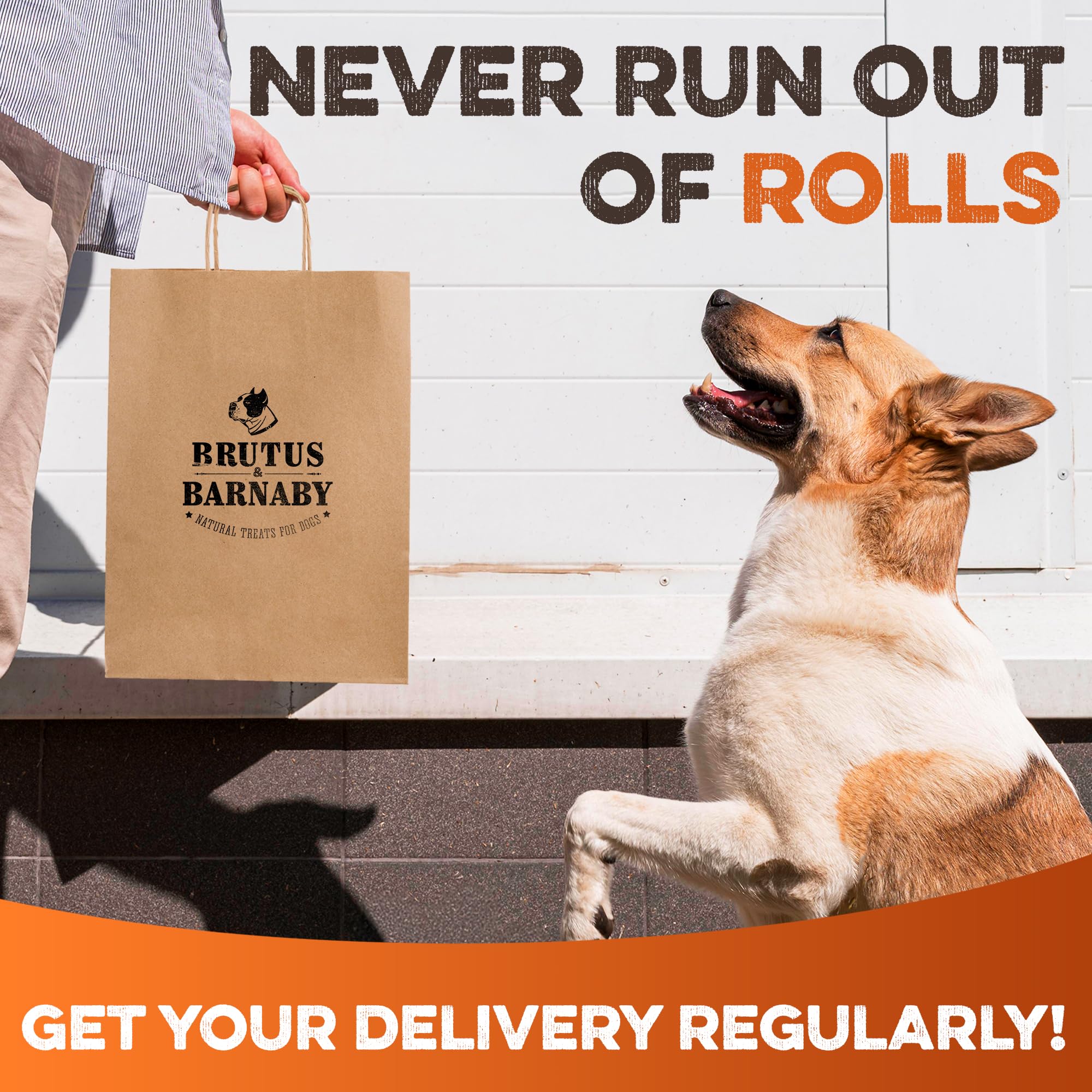 Brutus & Barnaby fully digestible single-ingredient beef cheek roll product image.