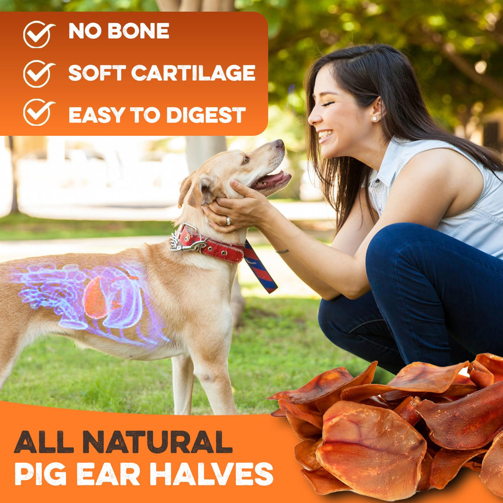BRUTUS & BARNABY fully-digestible pig ears - safer chew option