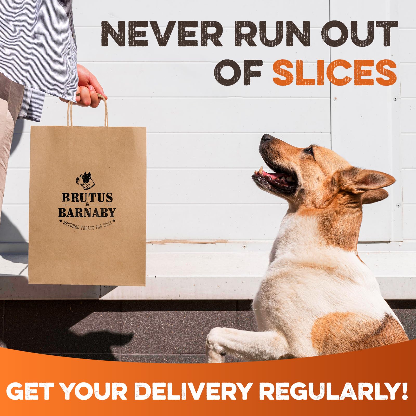BRUTUS & BARNABY natural aroma enhances appeal during snack time.