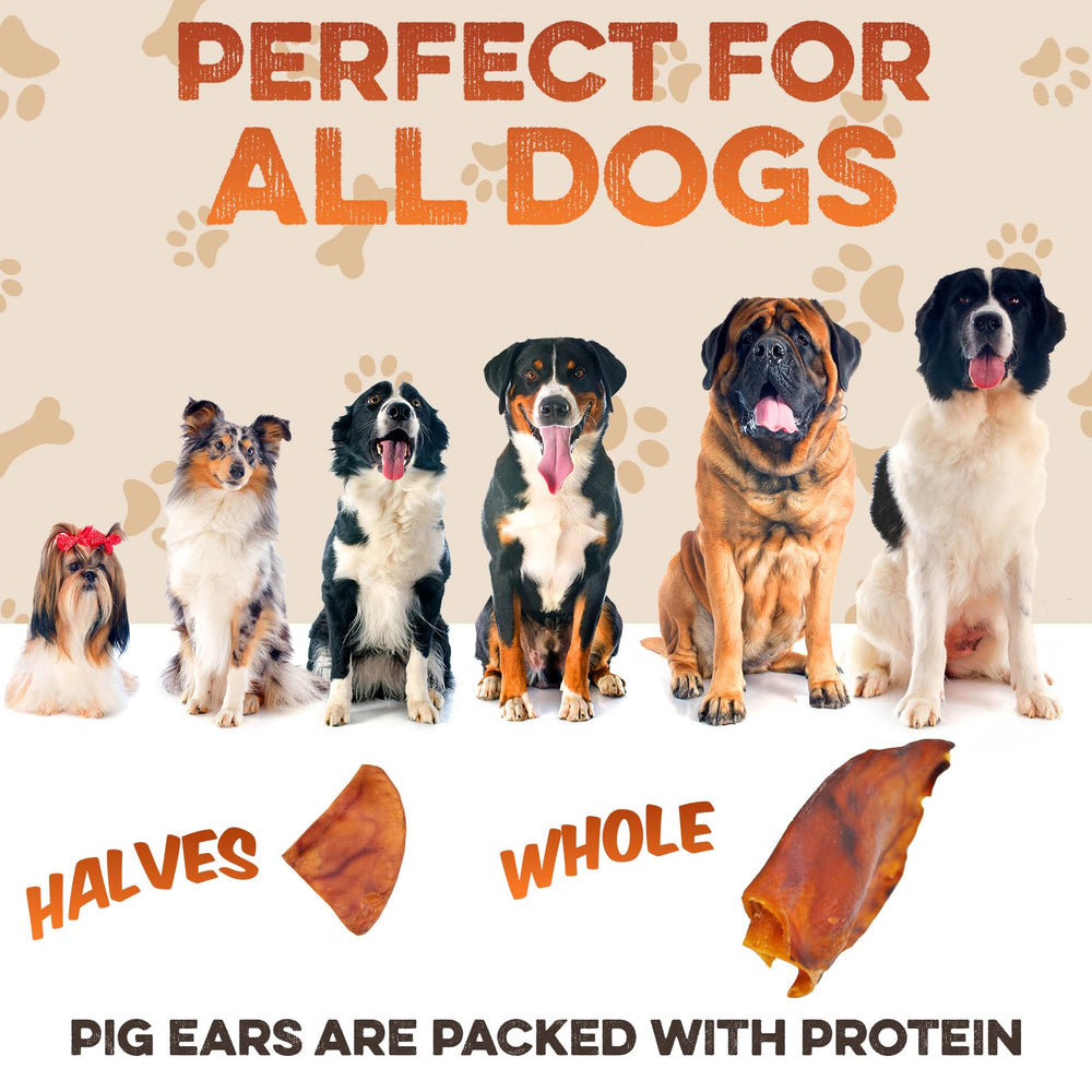 BRUTUS & BARNABY pig ear halves are fully digestible and splinter-free.