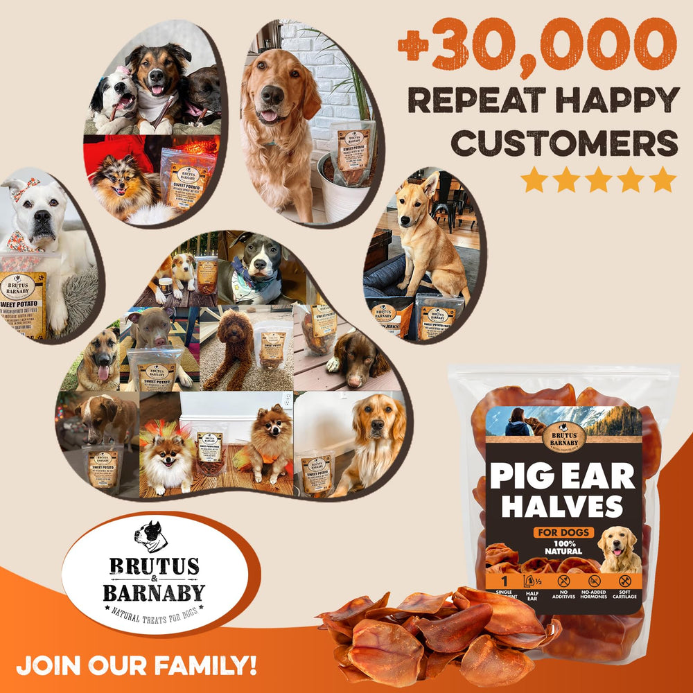 BRUTUS & BARNABY pig ear halves available as whole or halves.