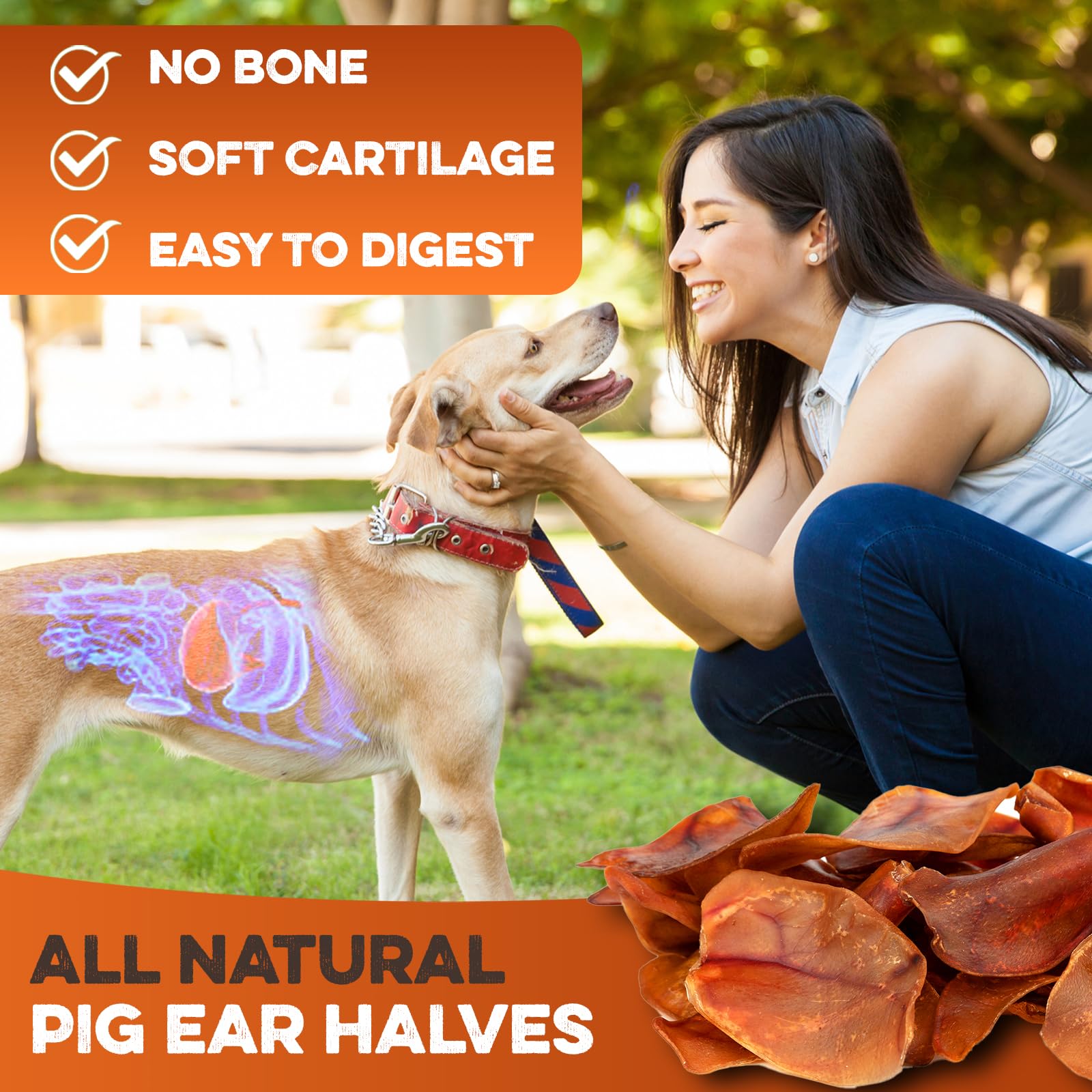 BRUTUS & BARNABY pig ear halves are non-greasy and stain-free.