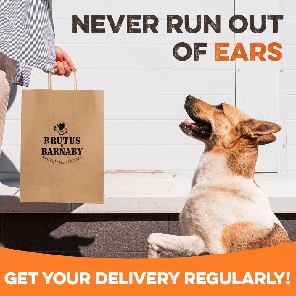 BRUTUS & BARNABY pig ear halves suitable for seniors and puppies.