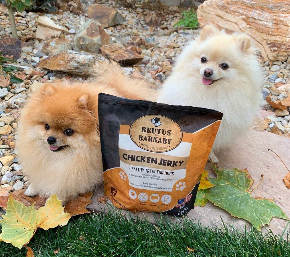 Brutus & Barnaby preservative-free treats: minimally processed, no additives