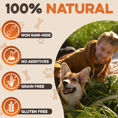 Brutus & Barnaby rawhide-free label indicating safe alternative for aggressive chewers.