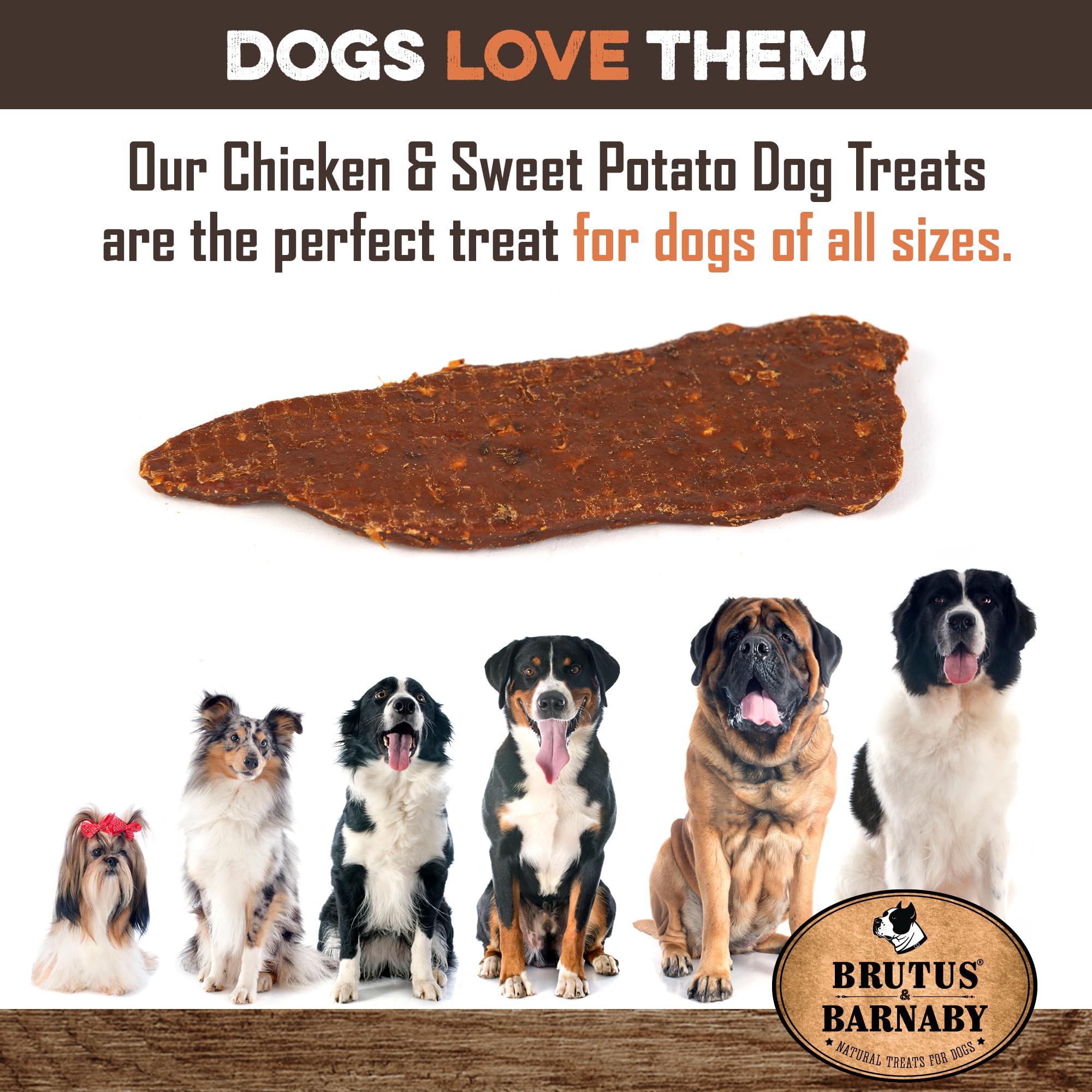 BRUTUS & BARNABY jerky bite for small dogs demonstrates easy chewing.