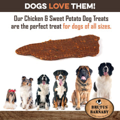 BRUTUS & BARNABY jerky bite for small dogs demonstrates easy chewing.