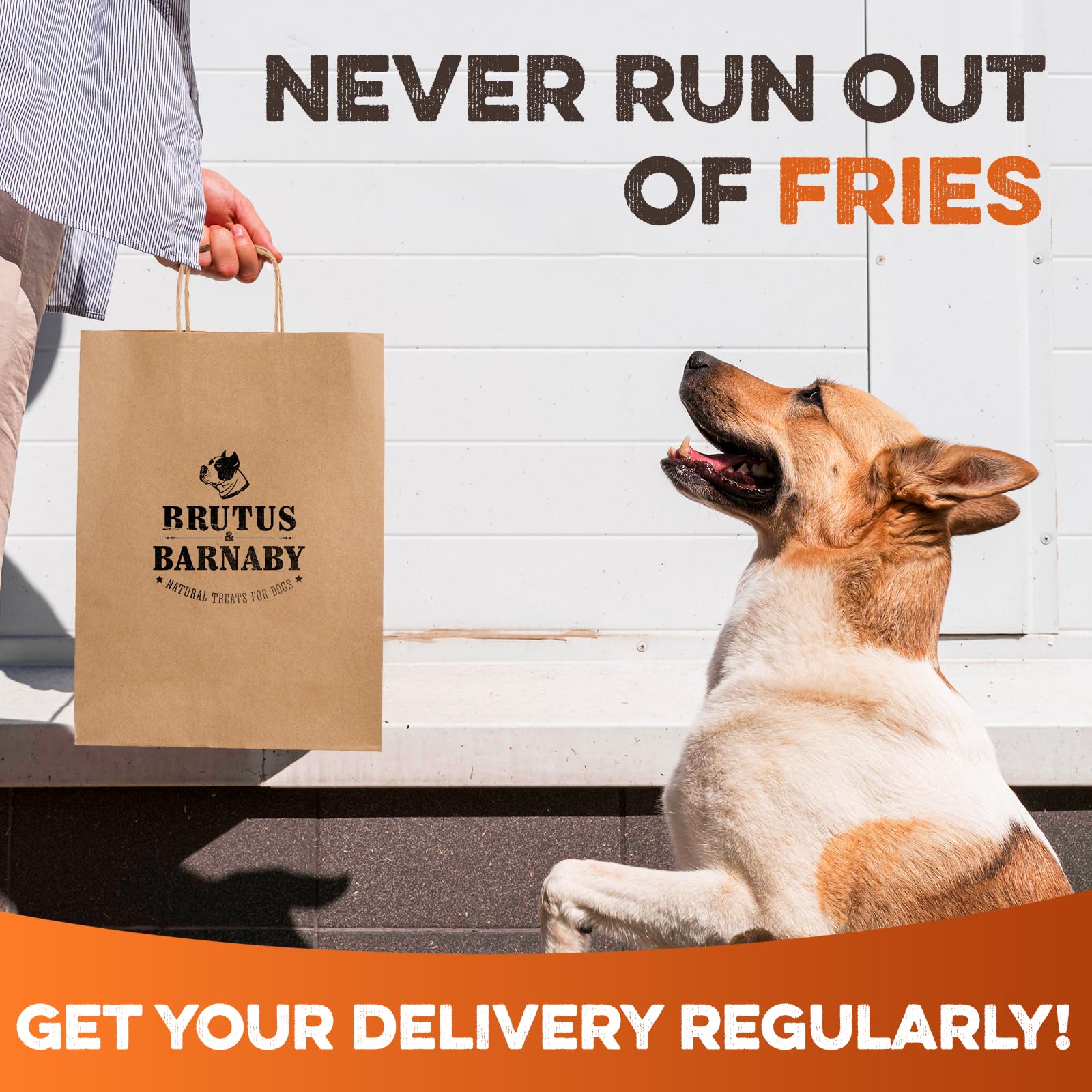 BRUTUS & BARNABY fits gluten-free, easy-to-digest diet.