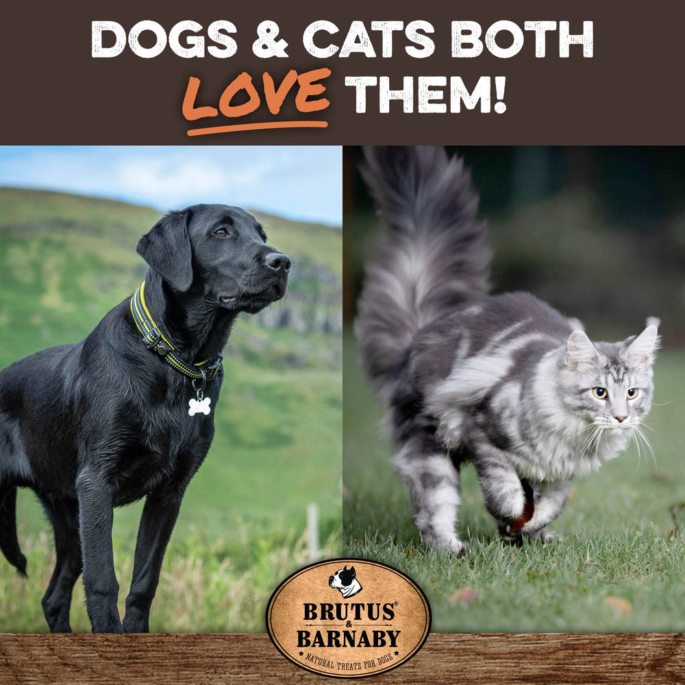 BRUTUS & BARNABY training-treats multi-pet-reward closeup conveys versatile use.