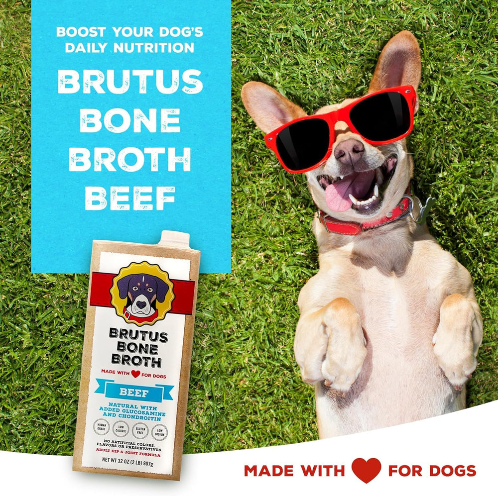 Brutus Bone Broth for Dogs in a serving bowl enhances kibble flavor