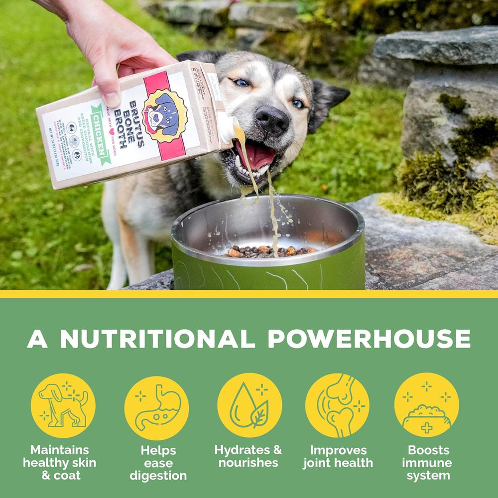 Brutus Bone Broth during meals entices dogs with rich aroma
