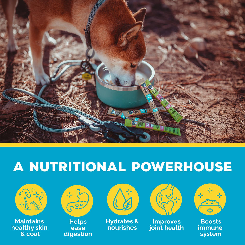 Brutus Bone Broth low-sodium topper supports daily meals in kibble.