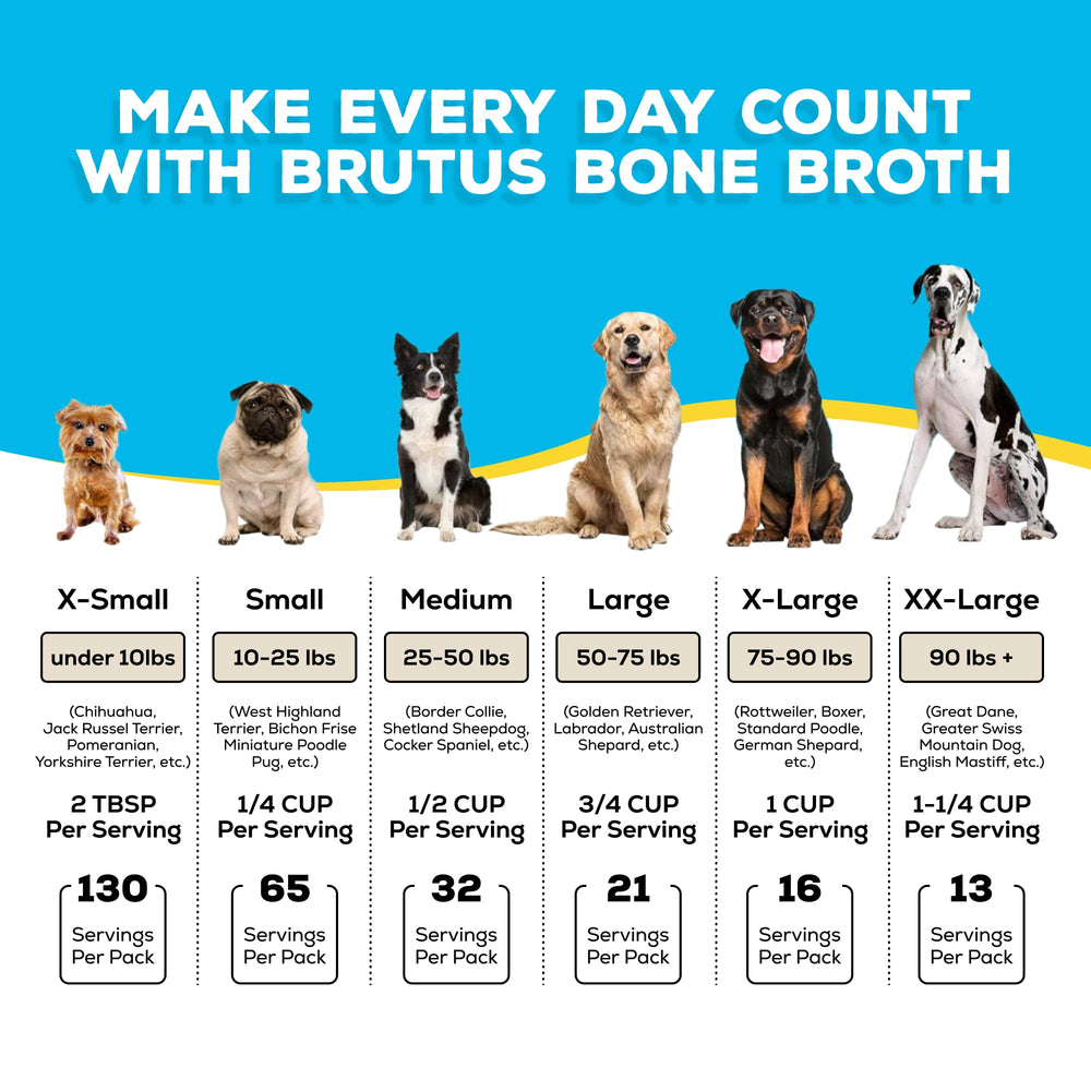 Brutus Bone Broth Powder dissolving in water for easy hydration.