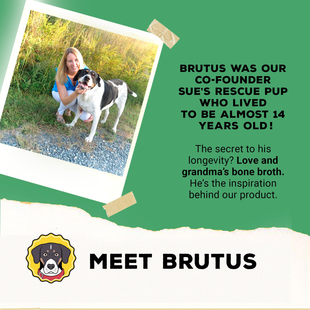 Brutus Vegetable Broth for Dogs Salmon kitchen scene emphasizes eco-friendly packaging.