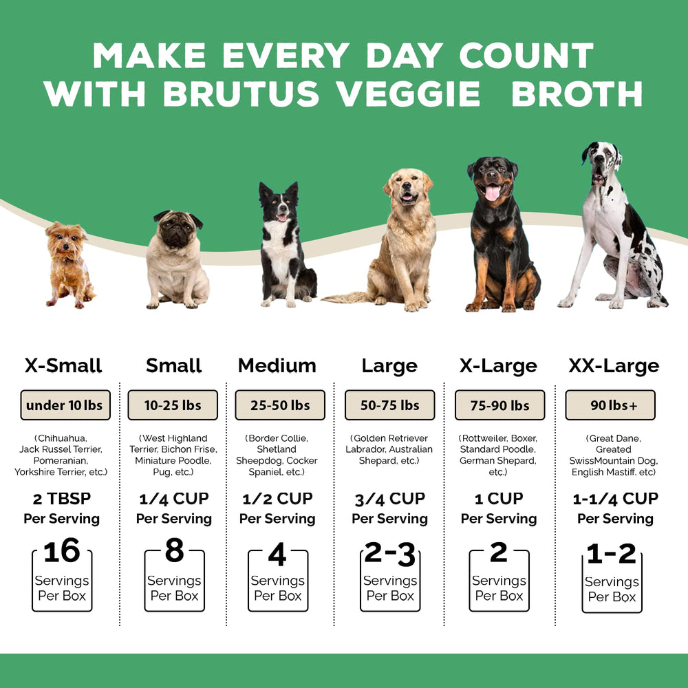 Brutus Vegetable Broth for Dogs Salmon serving over dry food highlights omega-rich nourishment.