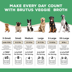 Brutus Vegetable Broth for Dogs Salmon serving over dry food highlights omega-rich nourishment.