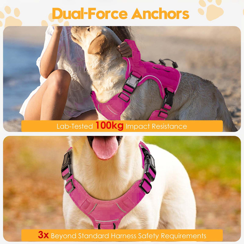 Bruvoalon breathable air mesh padding keeps dogs cool during activity