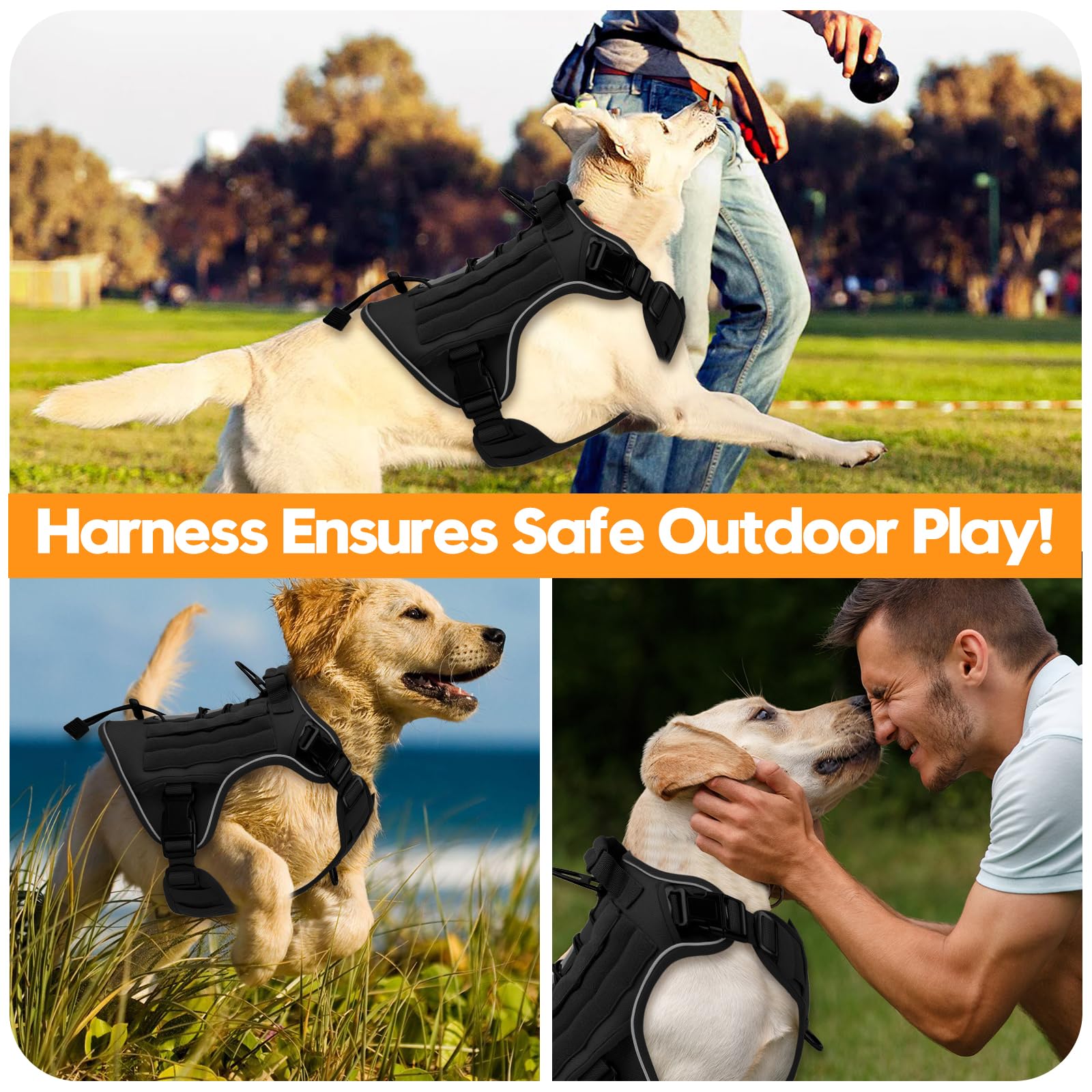 Bruvoalon breathable air mesh padding keeps dogs cool during workouts