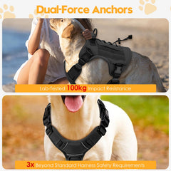 Bruvoalon MOLLE system harness for extra gear