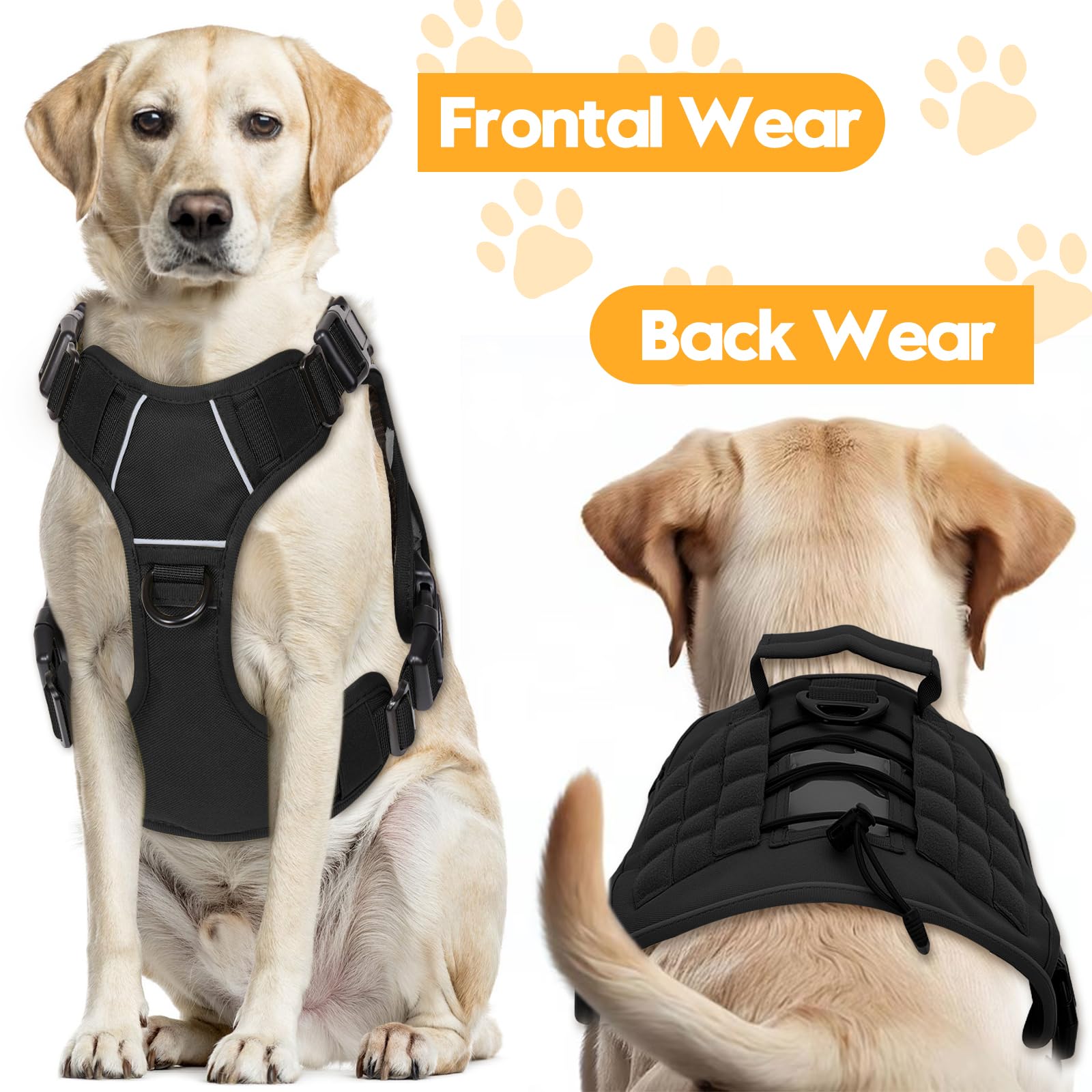 Bruvoalon free name patch included adds personalized flair for training.