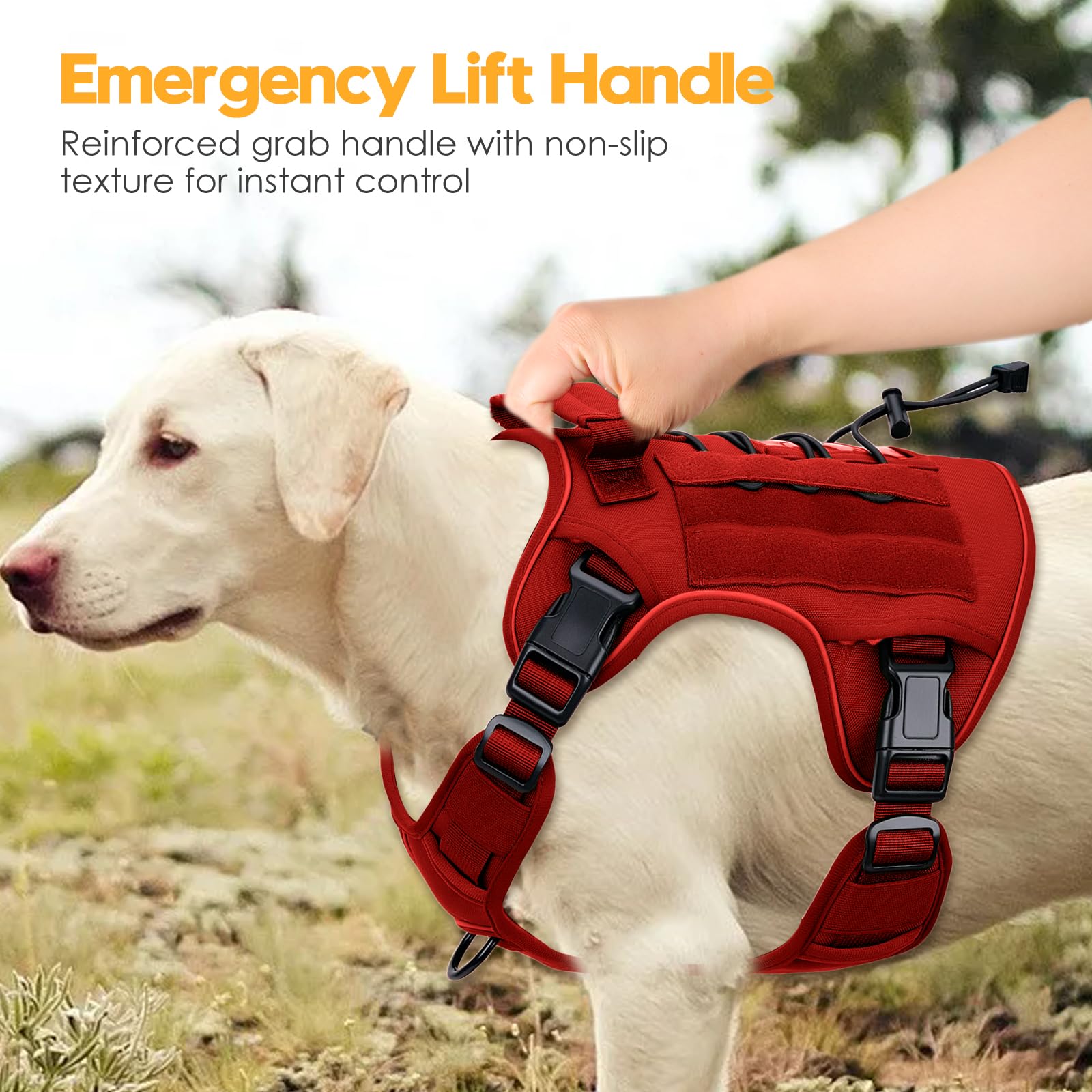 Bruvoalon harness 20 color options lets you match your dog's personality