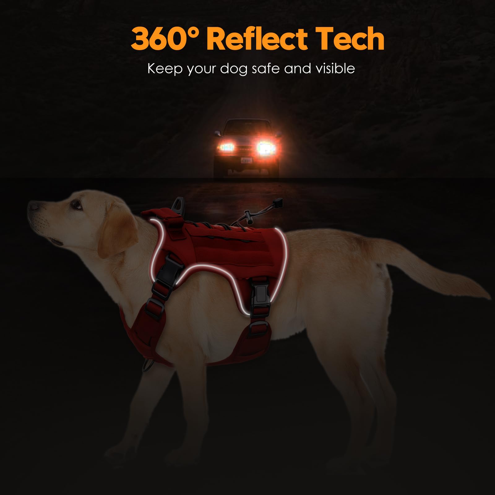 Bruvoalon harness breathable air mesh padding keeps dogs cool during activity