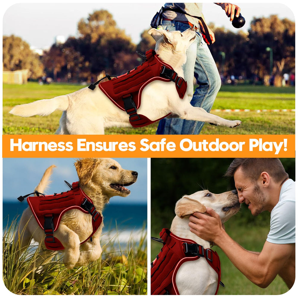 Bruvoalon harness four-way adjustable fit for secure, comfortable wear