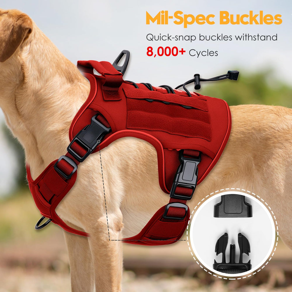 Bruvoalon harness MOLLE system gear-ready for accessories during field training