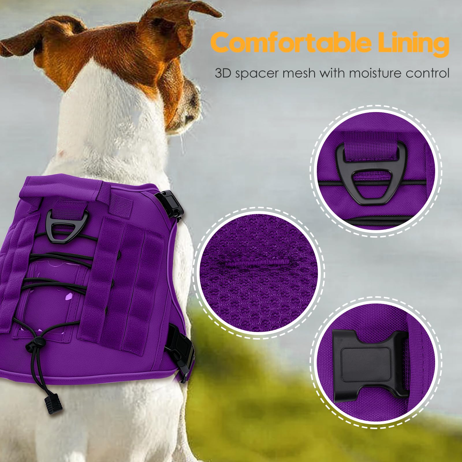Bruvoalon purple back-clip harness ready for everyday walks