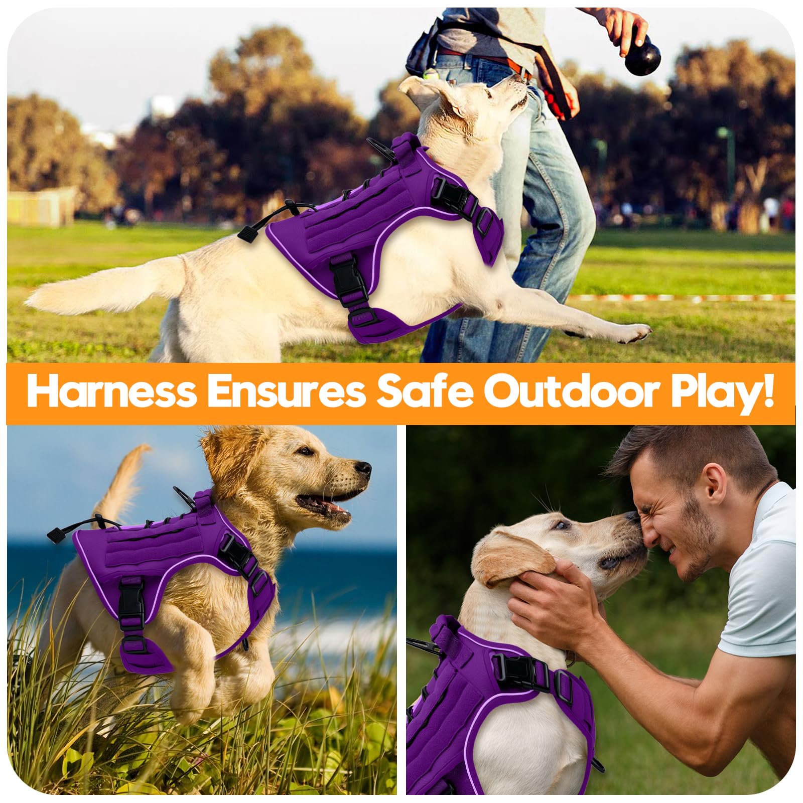 Bruvoalon purple breathable padding harness keeps dogs cool during activity