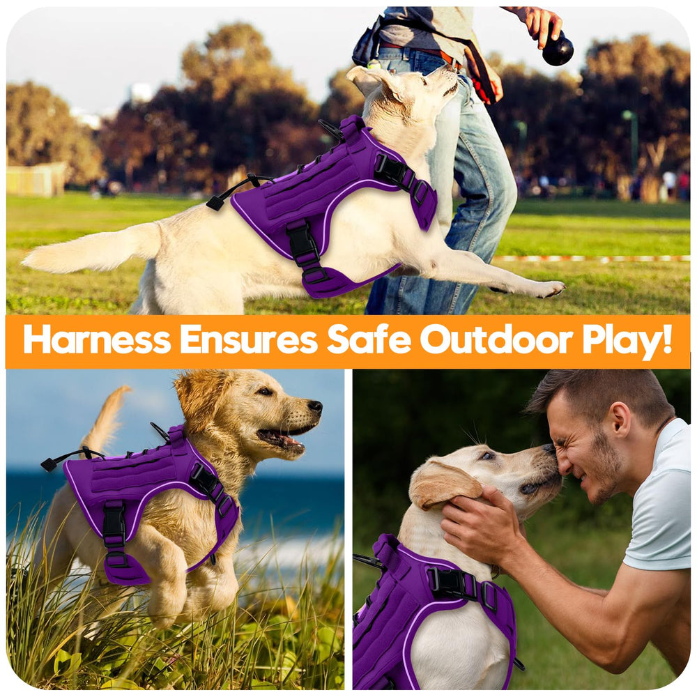 Bruvoalon purple breathable padding harness keeps dogs cool during activity