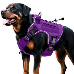 Bruvoalon purple front-clip harness for large dogs with no-pull control