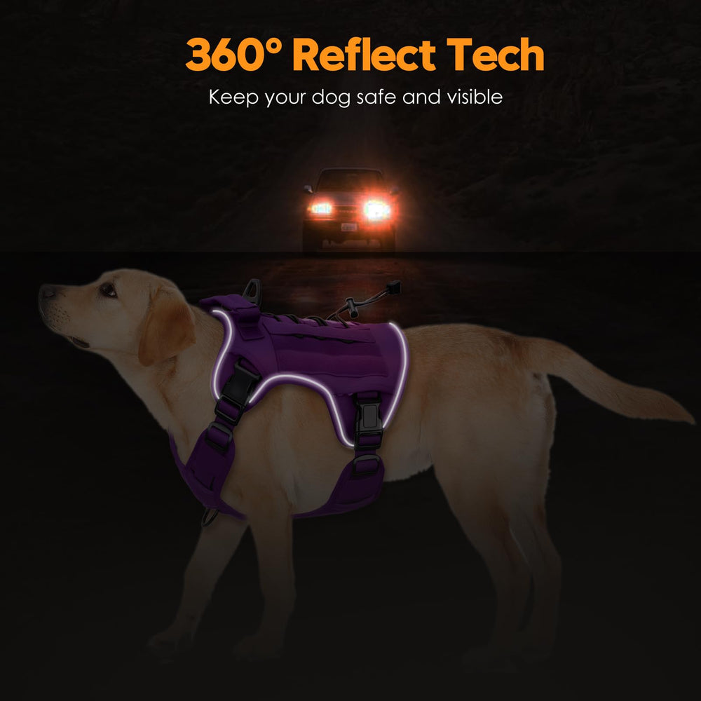 Bruvoalon purple name-patch harness personalized for quick identification