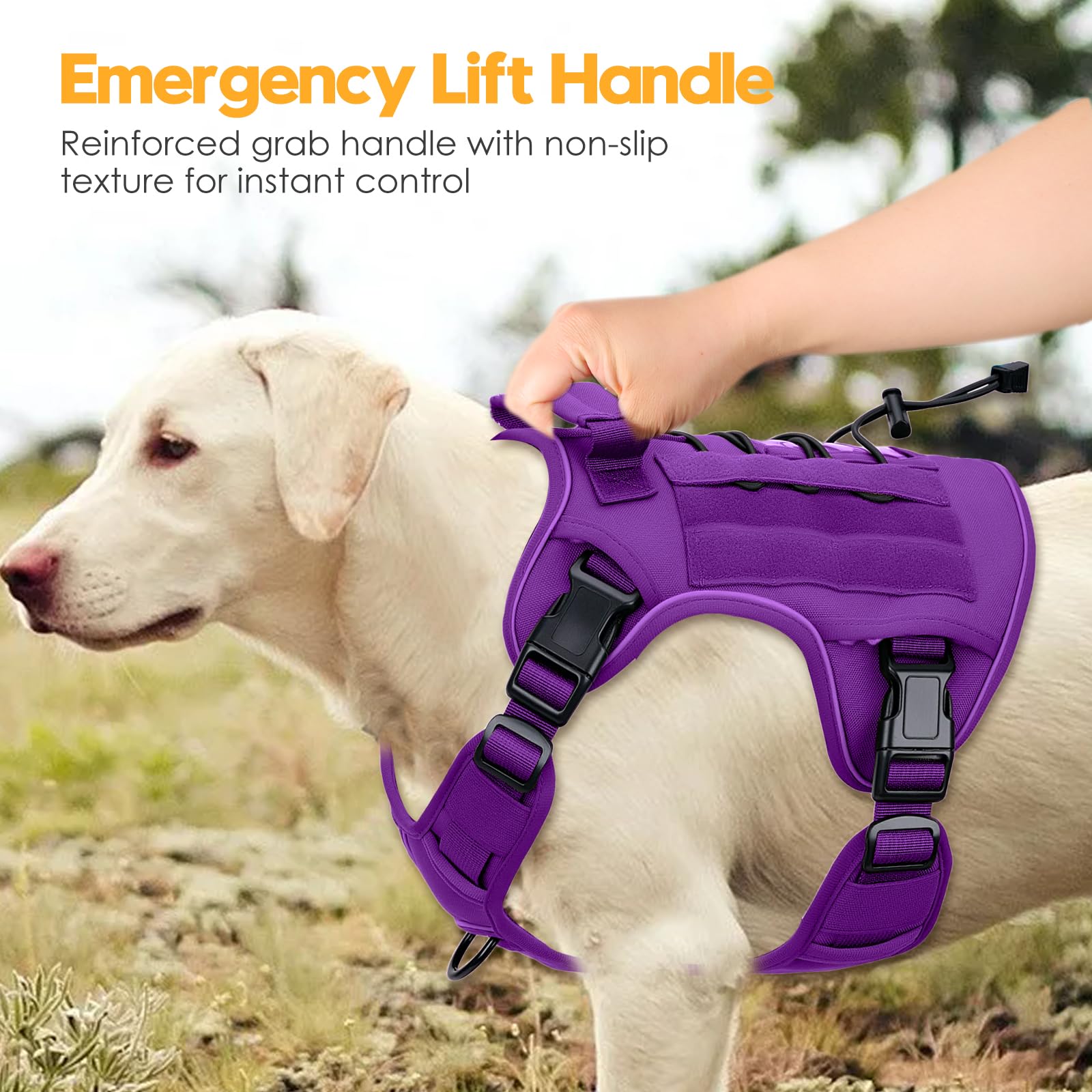 Bruvoalon purple outdoor-use harness shown in rugged settings
