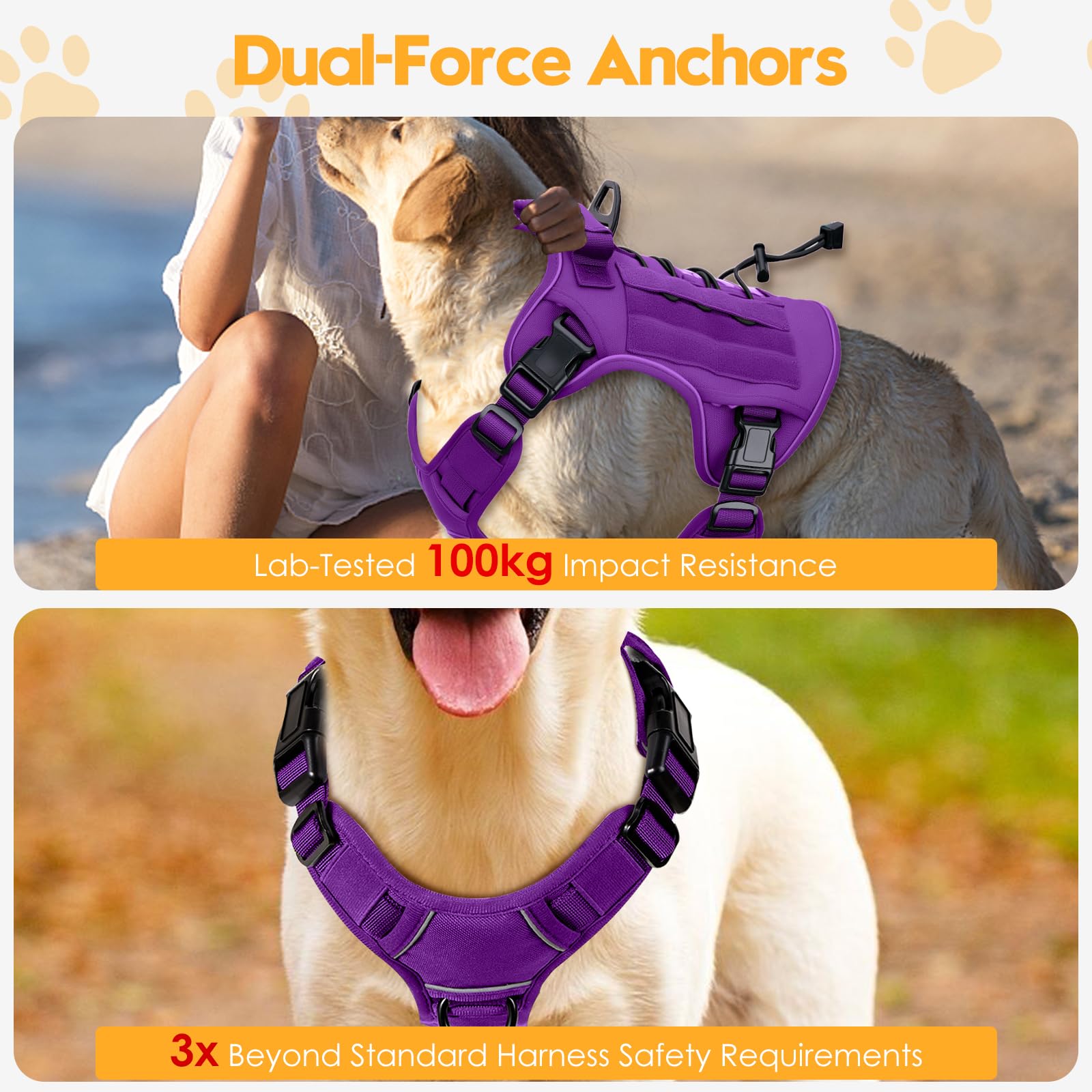 Bruvoalon purple reflective-trim harness increases visibility during night walks