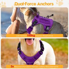 Bruvoalon purple reflective-trim harness increases visibility during night walks