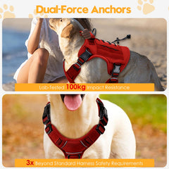 Bruvoalon harness reflective trim improves visibility for night walks and safety