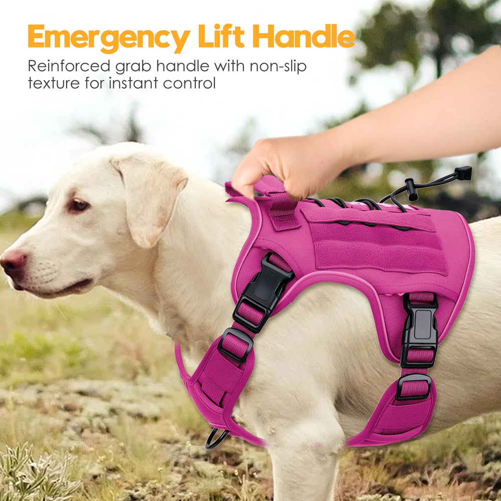 Bruvoalon 12 color options to match dog personality